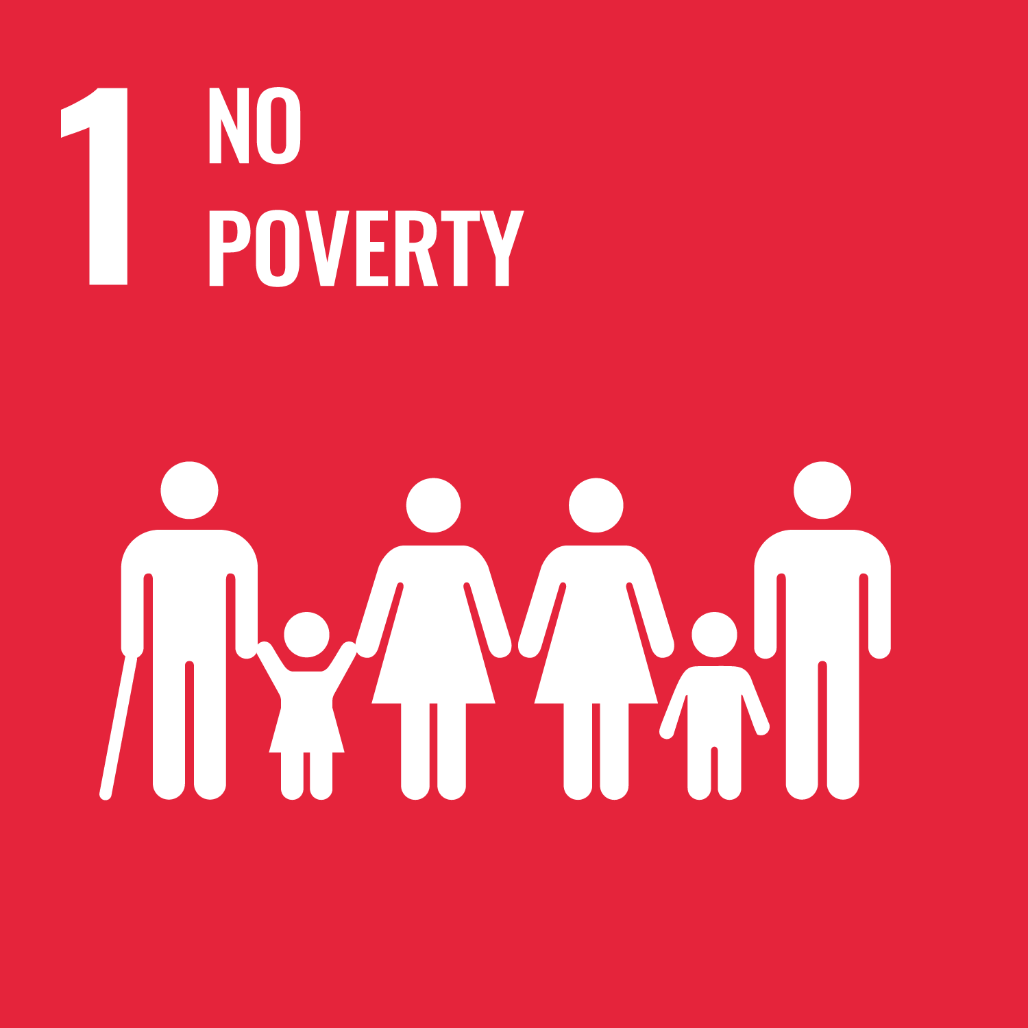 SDG icon