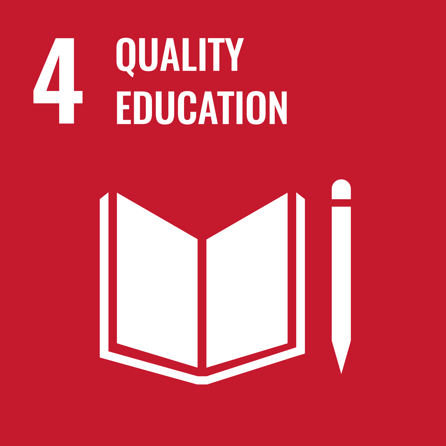 SDG icon
