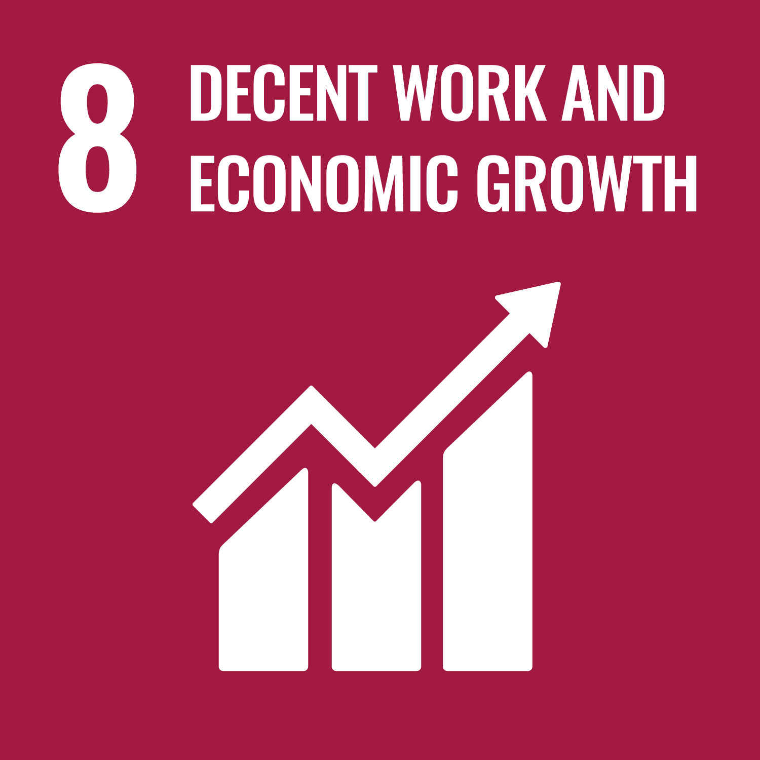 SDG icon