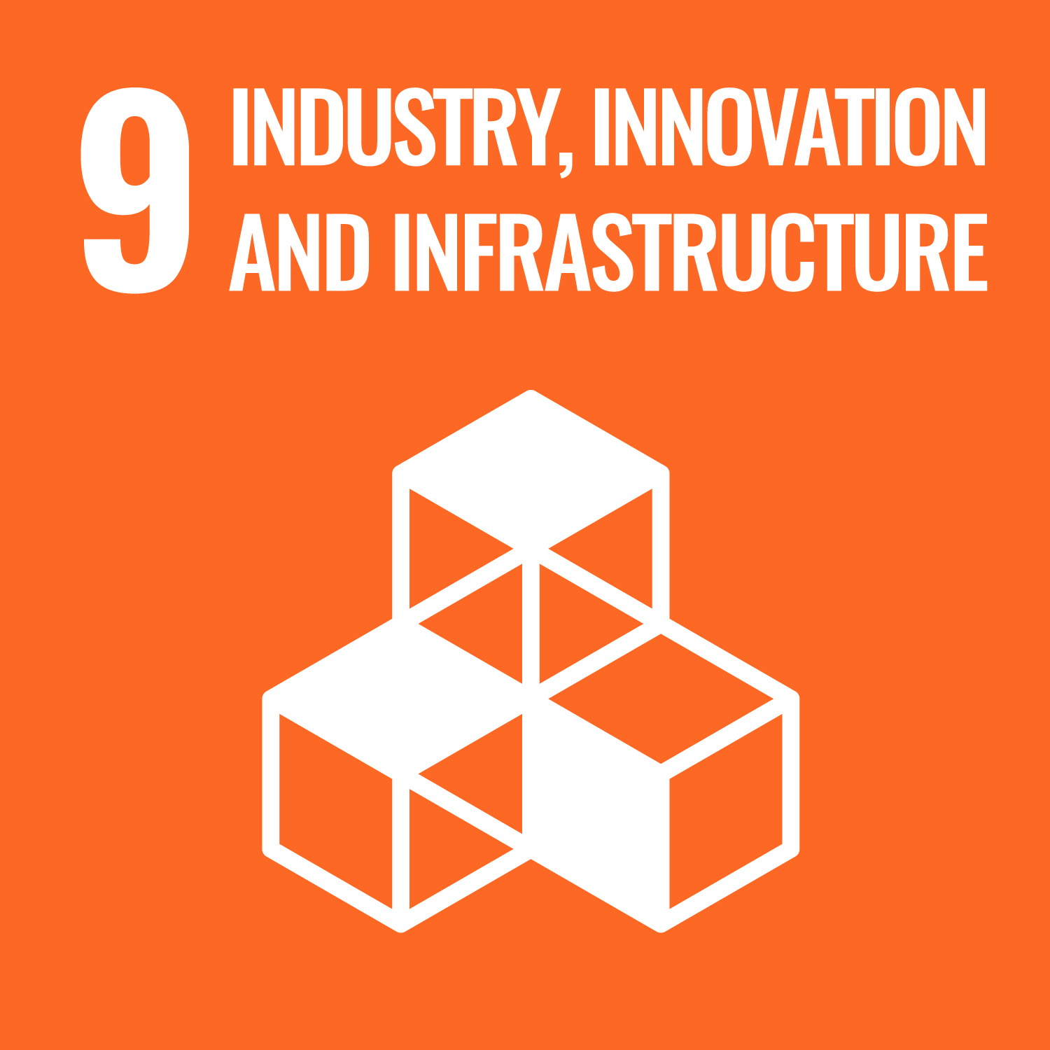 SDG icon